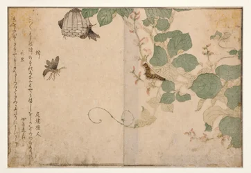 Getingar och hårig larv, 1788 (träblock)